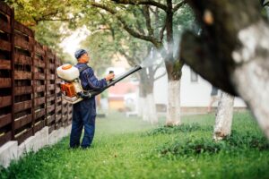 Pest control and Guide Bed Bug Treatment