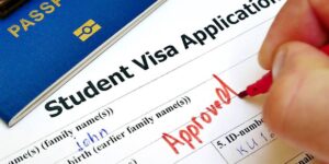 The basic job of the visa advisor